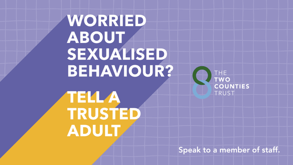 T5 Safeguarding Graphic
